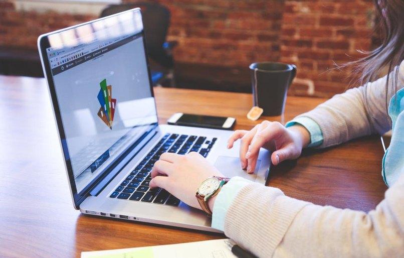 Partner Program Manager